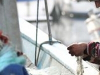 Россия и Норвегия обсудили вопросы регулирования рыболовства в Арктике